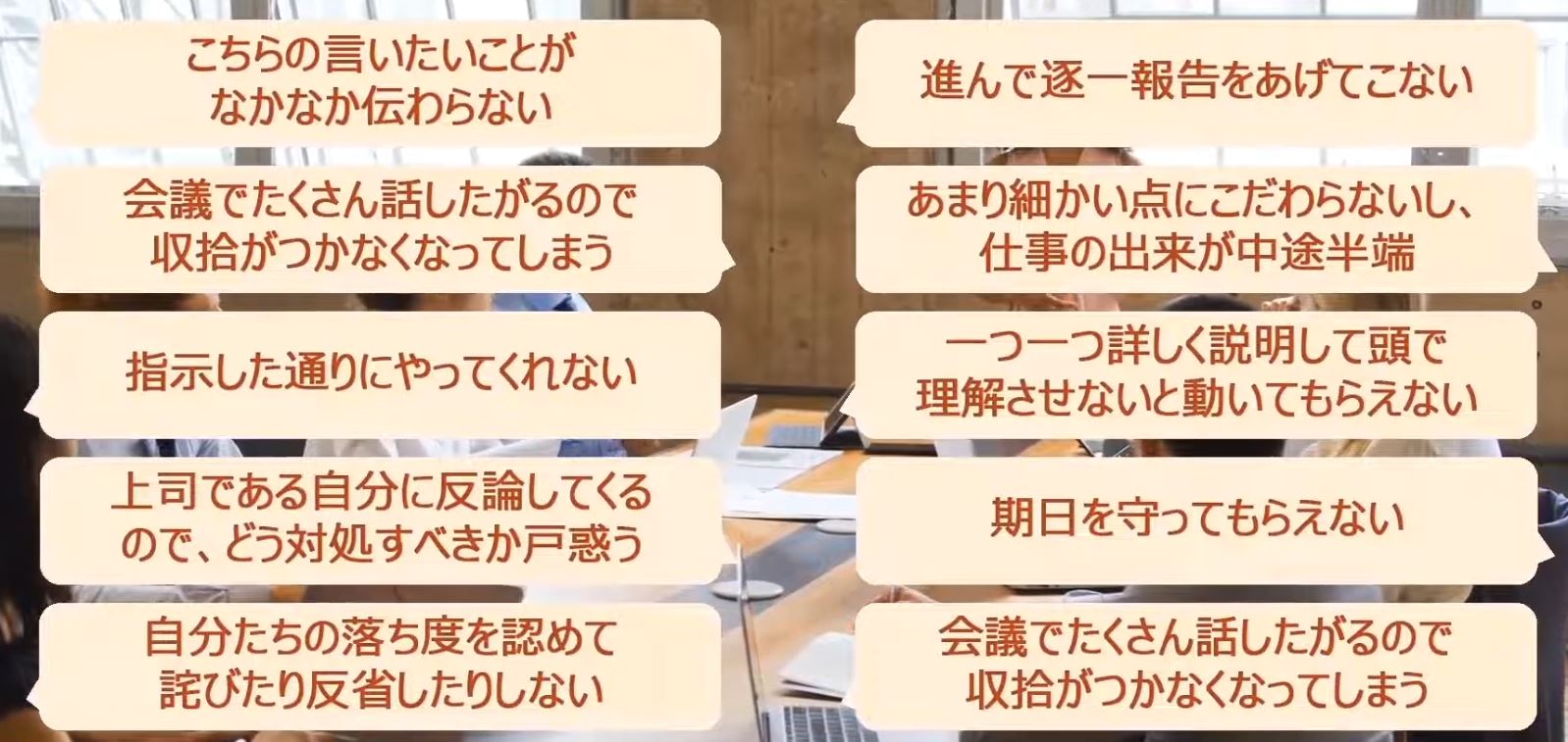 Japanese Professional Video